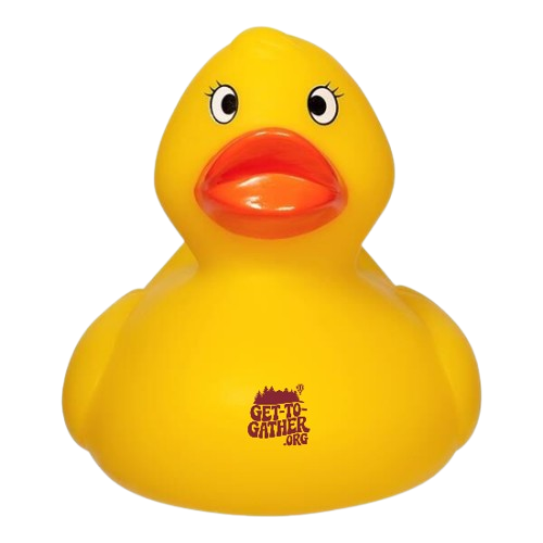 Duck Race